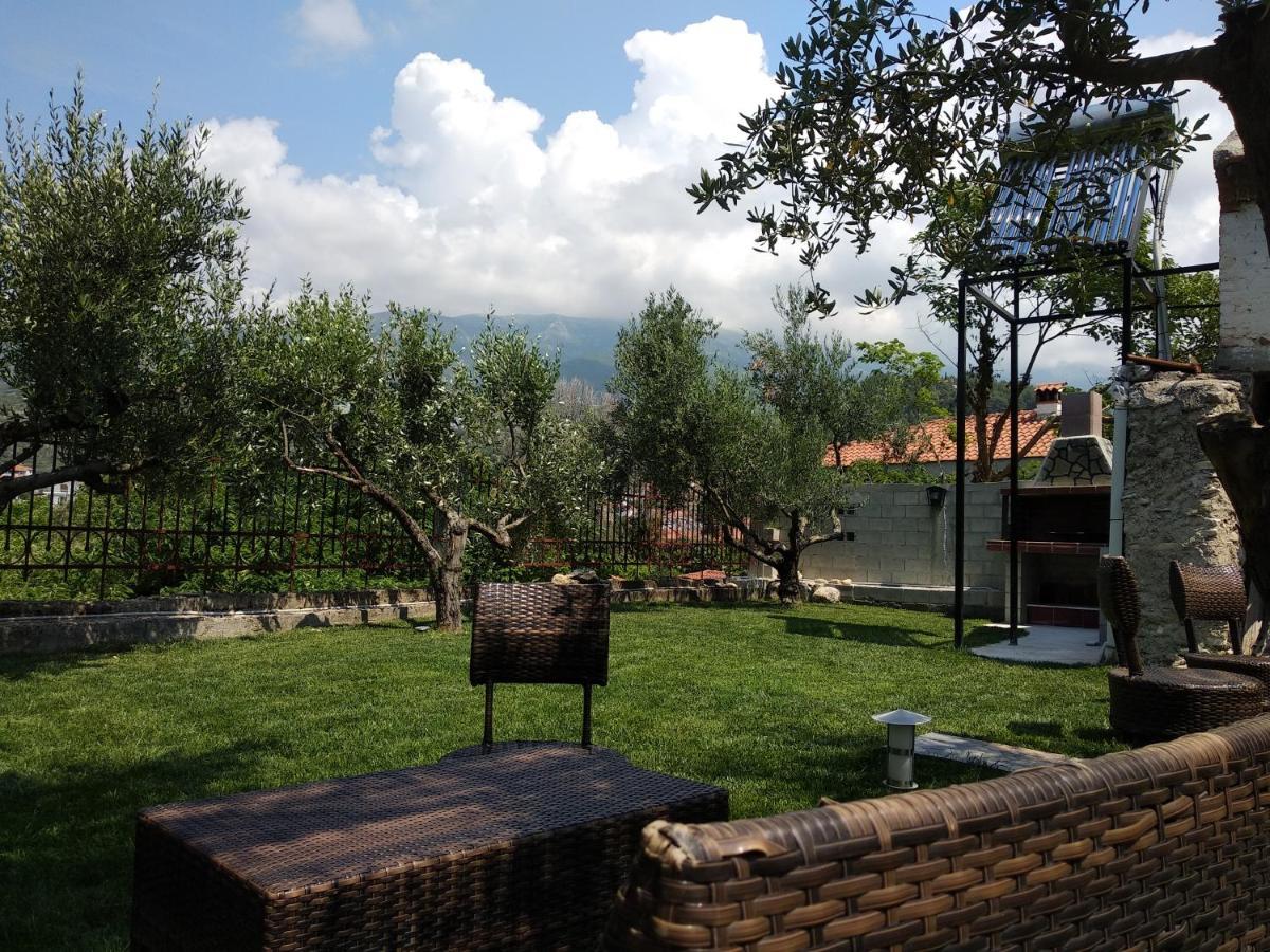 Villa Agnanti Apts And Suites Agio Pnevma Екстер'єр фото